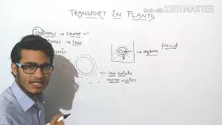 Plasmolysis explained in detail turgid  flaccid and plasmolysed cells [upl. by Ailam994]