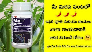 DOW DELEGATE INSECTICIDE FULL DETAILS IN TELUGU Spinetoram 117 SCTelugu raithu tips [upl. by Semadar]