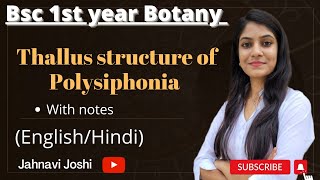 Polysiphonia Thallus Structure Notes Bsc 1st year Botany [upl. by Gnuhn287]