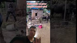 Sojo manxe lai jasle ni hepxan nepalisong love fpy song funny shortvideo comedy [upl. by Ittam845]