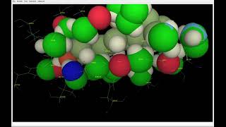 The SES molecular surface for protein crabp2 2fr3 by sesx [upl. by Samira]