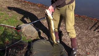 Peaceful Pike fishing on Grasmere Part2 [upl. by Nastassia]