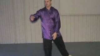 24 Form Tai Chi  Lesson 9  Grasp Birds Tail Part 1 [upl. by Allicirp]