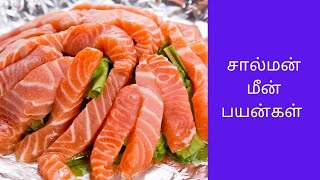 Salman fish benefits in tamil  சால்மன் மீன் பயன்கள் [upl. by Yekram319]