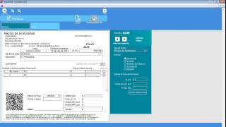 Software de Recibos y Facturas [upl. by Aeneg]