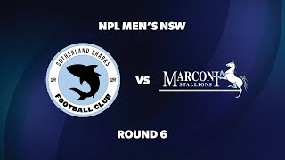 NPL Mens NSW Round 6 Sutherland Sharks FC v Marconi Stallions FC [upl. by Brownson592]