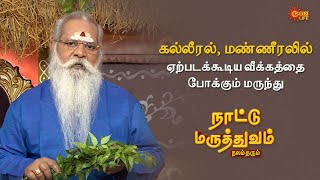 Medicine for Liver and Spleen Swelling  Naattu Maruthuvam  Sun Life TV [upl. by Dnomad]