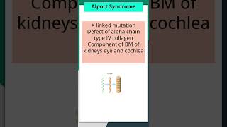 Alport Syndrome neetpg mbbsvideolecture nextpg mnemonicshorts educationpediatrics science [upl. by Bissell]