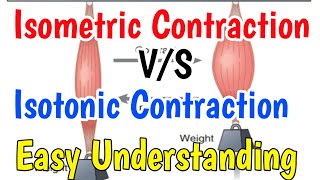 Isometric contractionIsotonic contraction Isometric contraction vs isotonic contraction [upl. by Pembrook70]