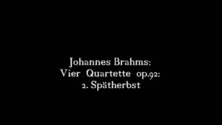 Johannes Brahms Vier Quartette op92 2 Spätherbst 24 [upl. by Dymphia]