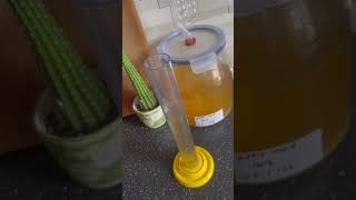 Cyser AKA Apple mead an old fashioned wine using honey as the fermentable sugar mead honey [upl. by Atenik467]