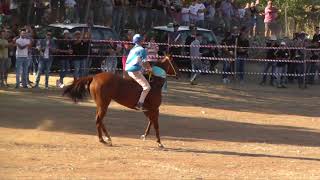 Il Palio dei Berberi 2017 [upl. by Elo]