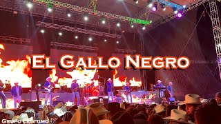 Grupo Legitimo  El Gallo Negro  El Tartanero  La Provocativa  Viernes Sin Tu Amor [upl. by Banwell]