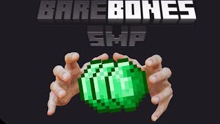 Trying to get rich on the barebones smp [upl. by Neehsas]