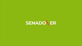 Senado Juvenil  Sesión Clausura [upl. by Alimaj]