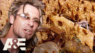 Top 3 HORRIFYING Roach Infestations Part 2  Billy the Exterminator  AampE [upl. by Ko]