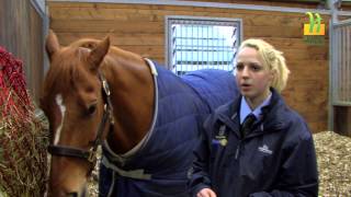 Equestrian Studies at Hadlow College [upl. by Nutter]