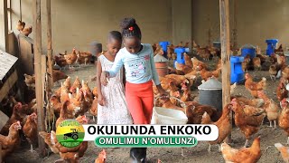 Okulunda enkoko part one [upl. by Jeanelle]