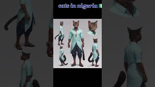 Cats in Mexico Nigeria and Argentina cats viralshorts america mexico argentina nigeria [upl. by Anerak]