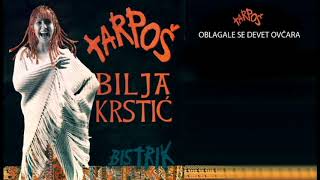 BILJA KRSTIC i Bistrik Orkestar  Oblagale se devet ovcara audio [upl. by Thilde]