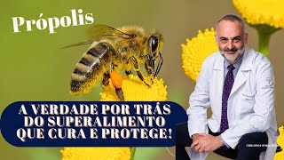 Própolis A Verdade por Trás do Superalimento Que Cura e Protege [upl. by Otreblon]