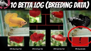 BETTA BREEDING DATA  BETTA LOG FOR KNOWLEDGE AND REFERENCE [upl. by Nirag]