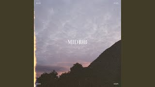 midrib [upl. by Elburr]