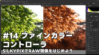 SILKYPIXでRAW現像をはじめよう 14 ファインカラーコントローラ [upl. by Fatimah536]