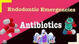 5 Antibiotics in Endodontic Emergencies [upl. by Dorcus806]