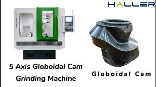 Globoidal Cam  HALLERC25 5 Axis Globoidal Cam Grinding Machine [upl. by Fiorenza]