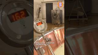 The milk heating process in making Parmigiano Reggiano [upl. by Eletnahc]