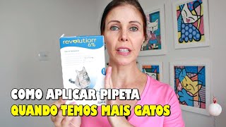 Como aplicar PIPETA para pulgas no GATO quando temos MAIS GATOS  Gatil Hauser [upl. by Gwendolyn344]