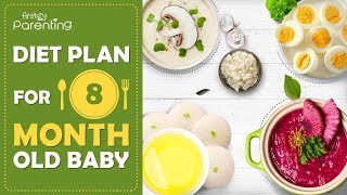 Diet Plan for a 8 Month Old Baby [upl. by Indihar]