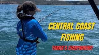 Central Coast NSW Reef Fishing Adventure with Filleting Tutorial From Ocean to Plate [upl. by Neroc]