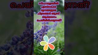 📚Gk Questions in Malayalam💡 keralapsc generalknowledge📕KidsMalayalamByRinu [upl. by Cristoforo]