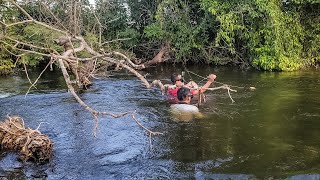 🇨🇷 Turismo en COSTA RICA Animales playas y naturaleza [upl. by Goran]