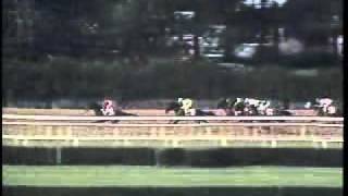 Easy Goer  1989 Belmont Stakes [upl. by Ashton]