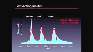 CFC Insulin Titration Program Training Video [upl. by Eberly]