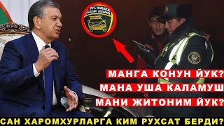 БУ ЙПХ ГАИ ХОДИМИ ШАВКАТ МИРЗИЁЕВНИ КАРОРИНИ БИР ТИНГА ОЛМАС ЭКАН [upl. by Melissa]