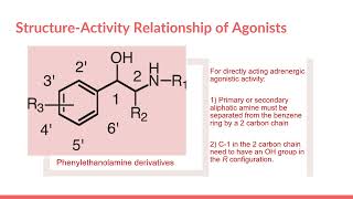 Chapter 4 Understanding the Drugs Affecting Adrenergic Neurotransmission Part 1 [upl. by Nette]