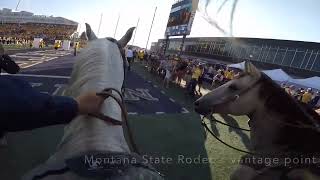 2022 Montana State Bobcats Gold Rush entrance from the rodeo team view [upl. by Einotna]