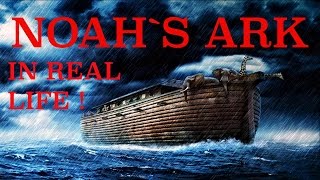 NOAHS ARK in REAL LIFE Ep 12 [upl. by Schouten428]