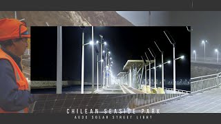 Solar Street Lights Are Revolutionizing Public Lighting for a Bright Future [upl. by Stichter420]