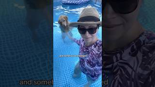 Oatmeal wants my ball 😭 PoolTime SwimmingDog goldenretriever [upl. by Bills308]