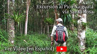 VENEZUELA  Pico Naiguatá  Vía Santa Rosa  Parque Nacional Waraira Repano El Avila [upl. by Duck]