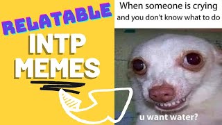 INTP MEMES Weirdly Accurate [upl. by Nohsyt925]