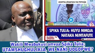 Wakili msomi Boniface Mwabukusi amvaa spika wa bunge TUKUTETEMEKEE WEWE NANI KWENYE NCHI HII [upl. by Narok]