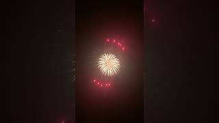 RKDS0803 riakeo firework [upl. by Ahseiat]