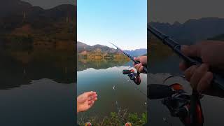 Go Fishing MT Fishing fishing fishingvideo mtfishing [upl. by Bashemath]