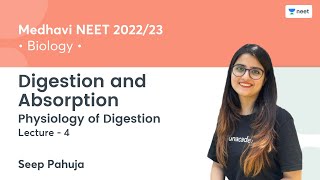 Digestion and Absorption  Physiology of Digestion  L4  NEET 202223  Seep Pahuja [upl. by Jegar]